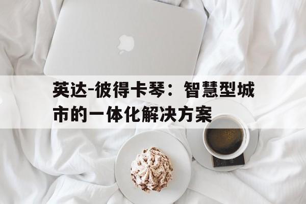 关于英达-彼得卡琴：智慧型城市的一体化解决方案的信息